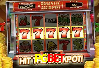 Apostas Esportivas na PGBET: Um Guia Completo